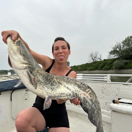 Wels Catfish Fishing Tour on the Po River