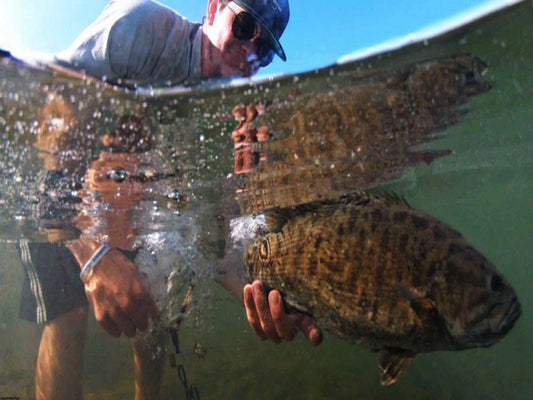 Bass Fishing Tour in Lombardy – Relax and Reel in the Fun