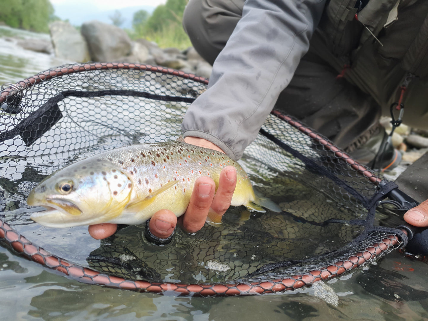 River Fishing Adventure: Fly or Spin Fish for Wild Trout Trip in Italy