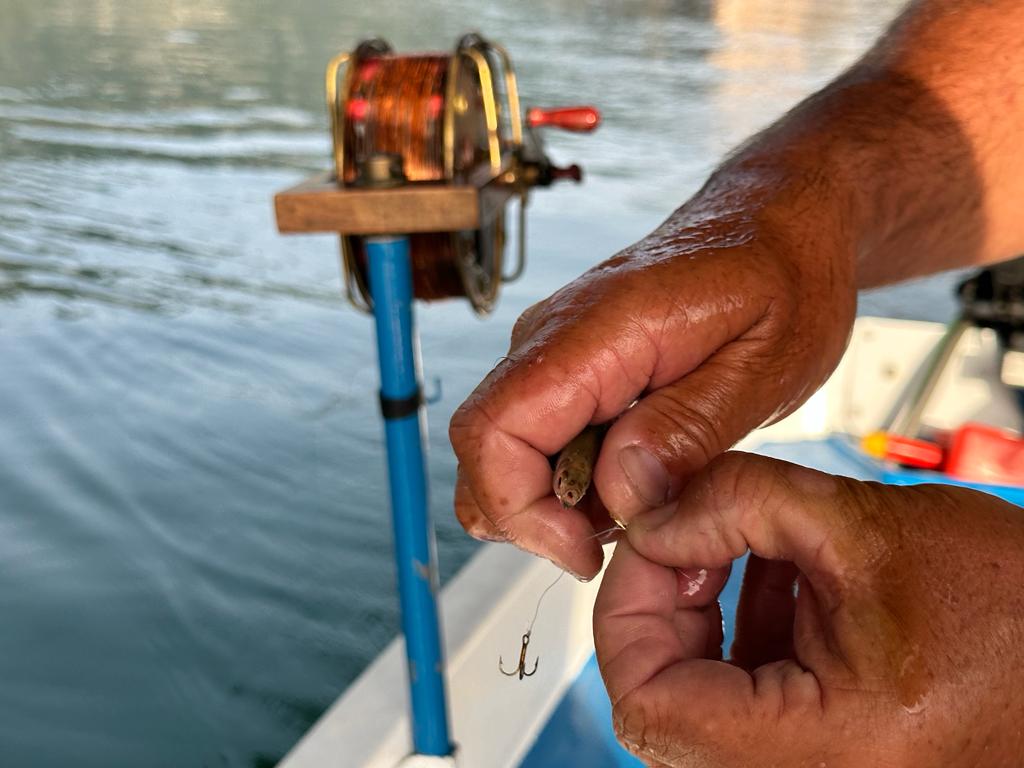 The History of Fishing on Lake Como