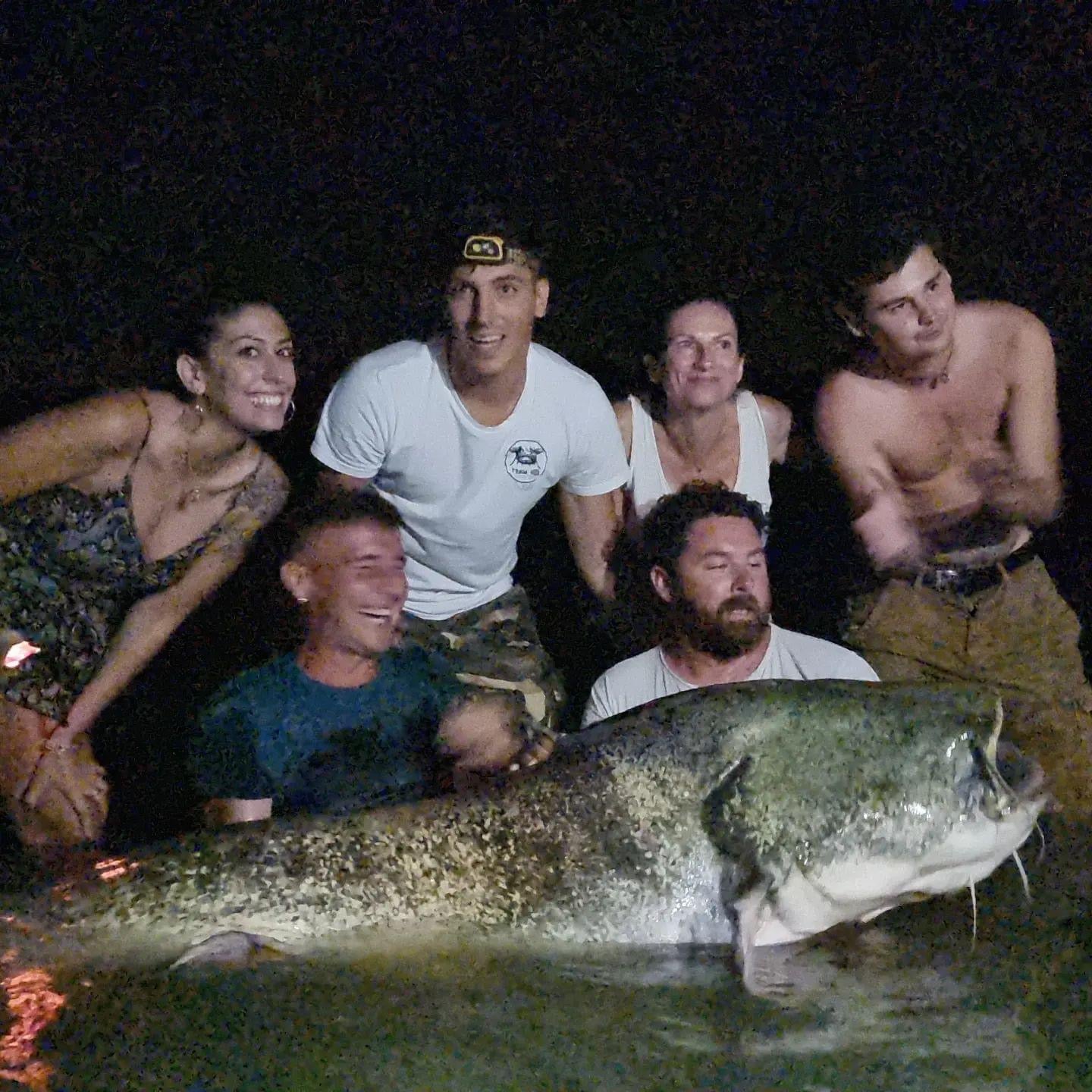 Wels Catfish on the Po River