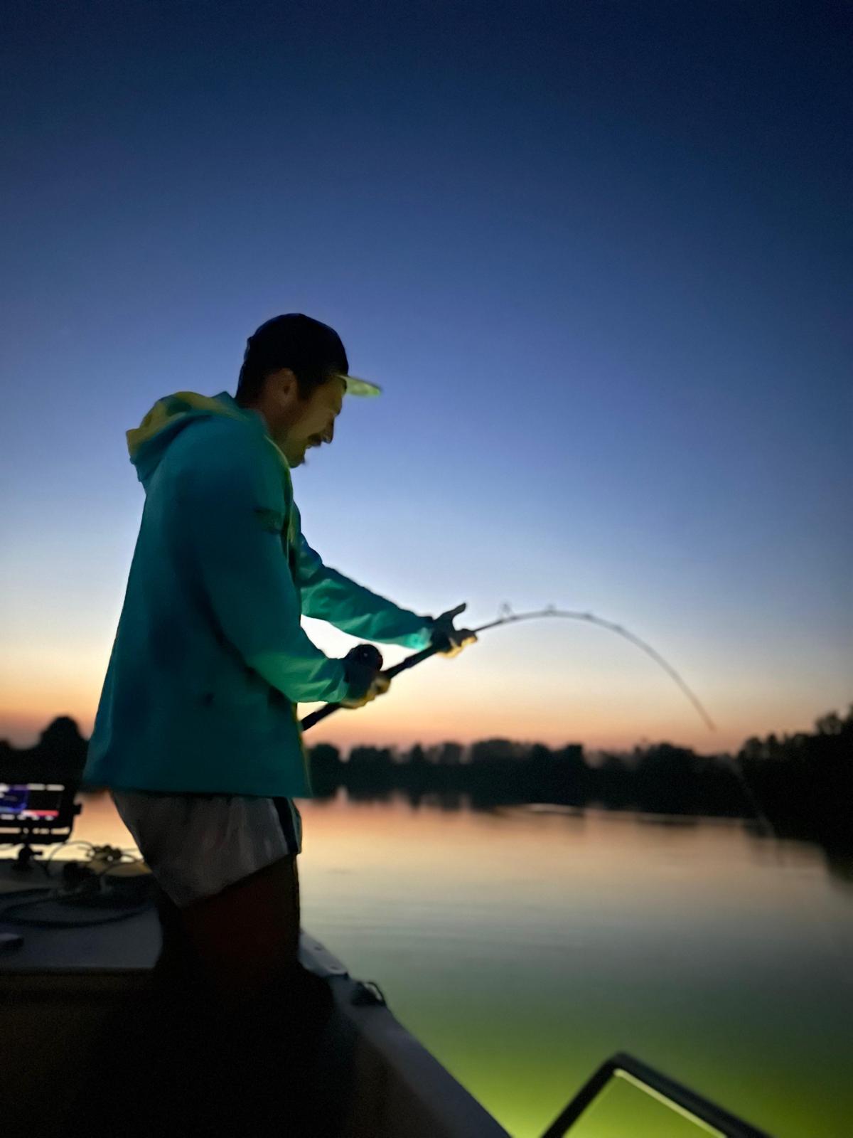 Wels Catfish on the Po River