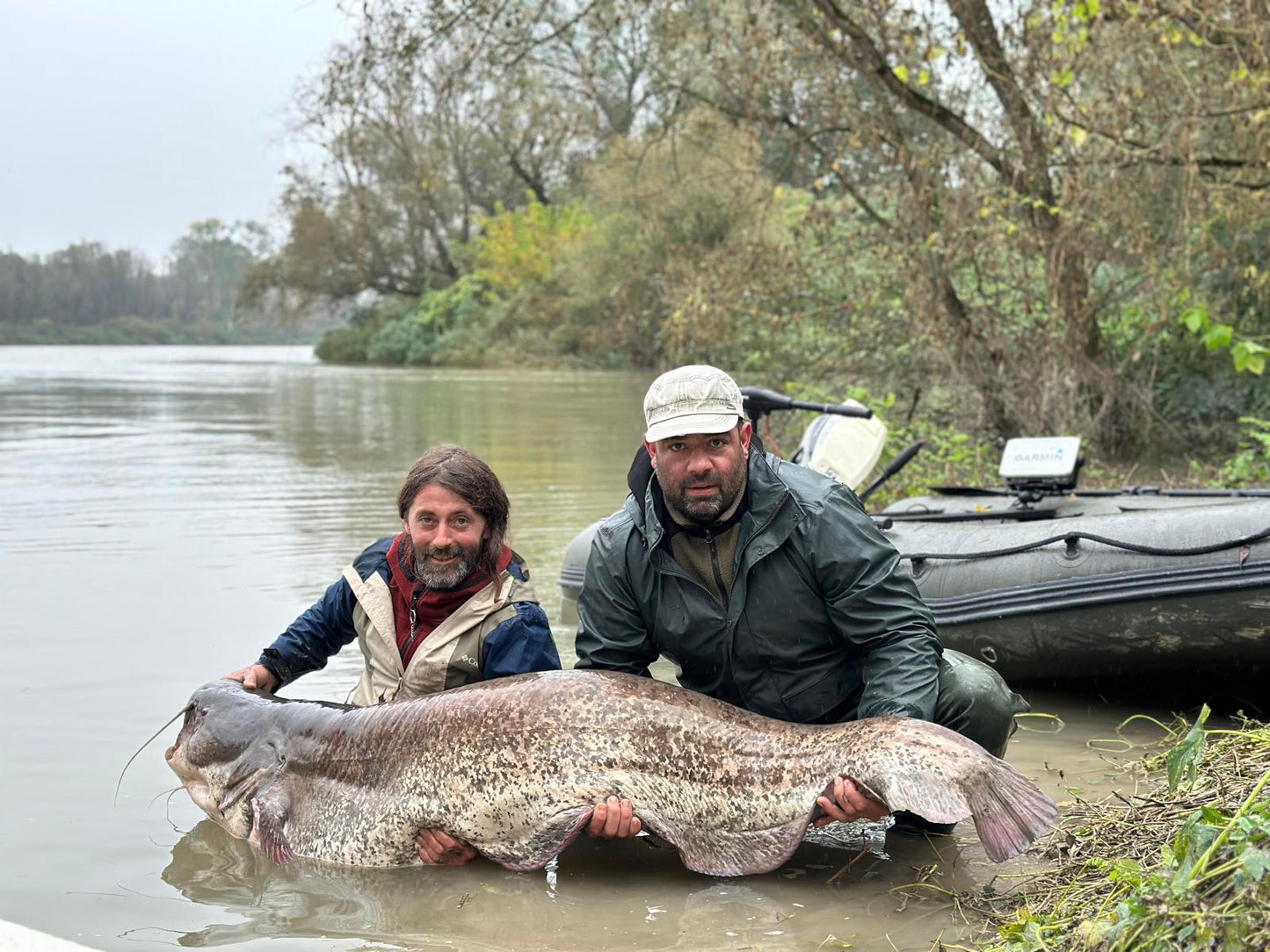 Wels Catfish on the Po River