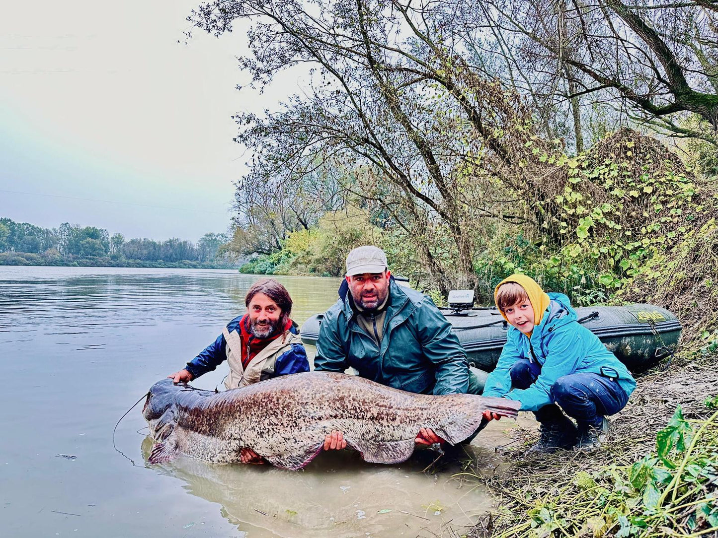 Wels Catfish on the Po River