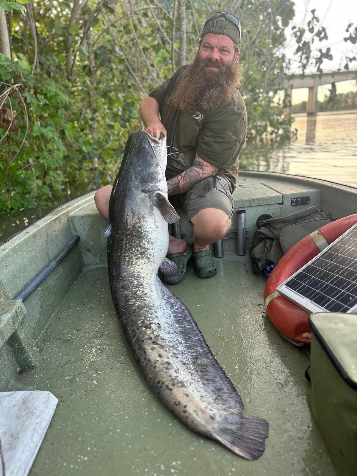 Wels Catfish Fishing Tour on the Po River