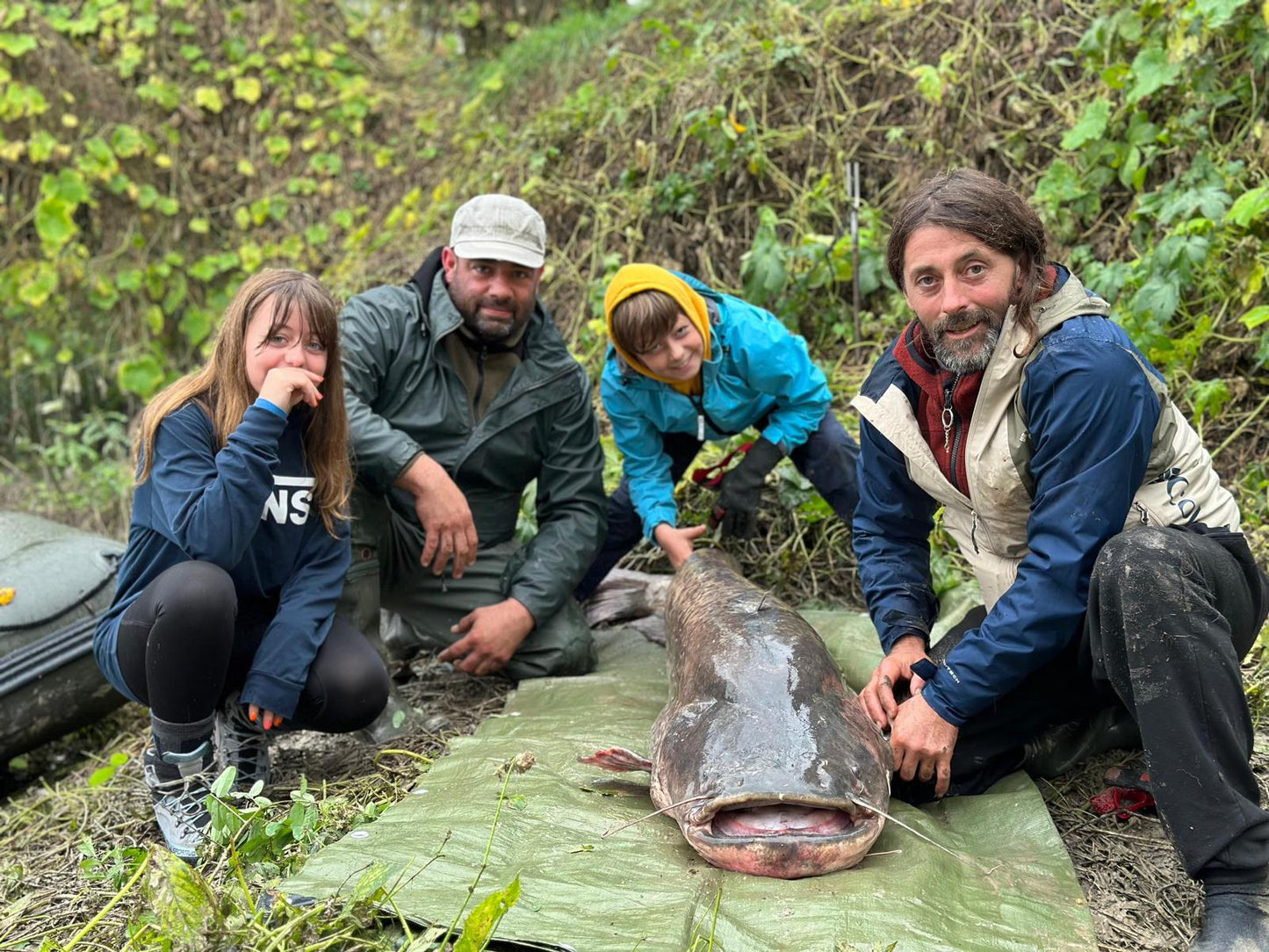 Wels Catfish Fishing Tour on the Po River
