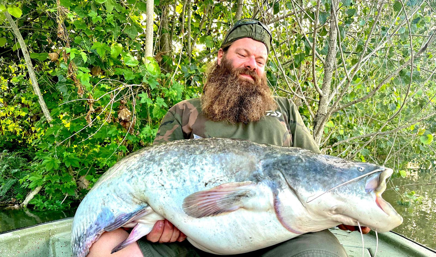 Wels Catfish Fishing Tour on the Po River