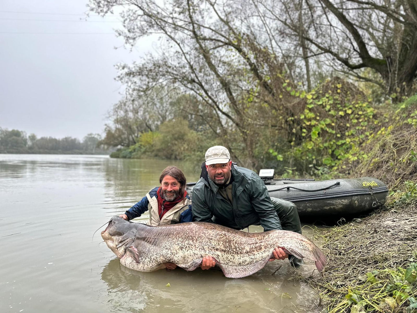 Wels Catfish Fishing Tour on the Po River